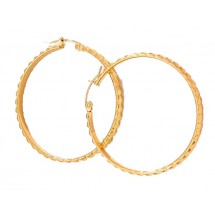 Oorbellen Ringvorm 4,3cm